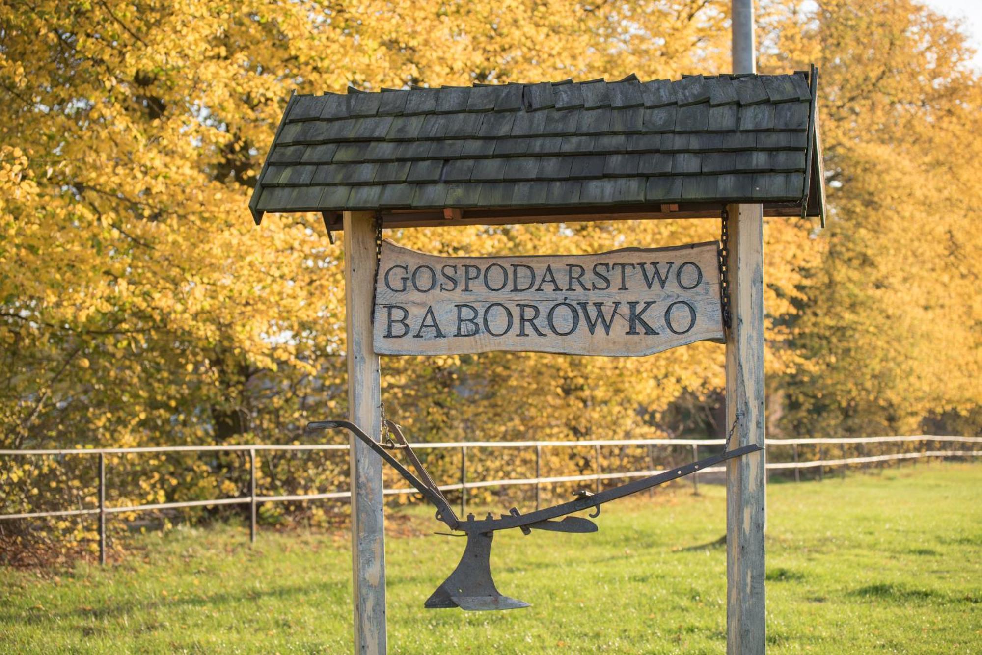 Pałac Baborówko Szamotuły Exterior foto